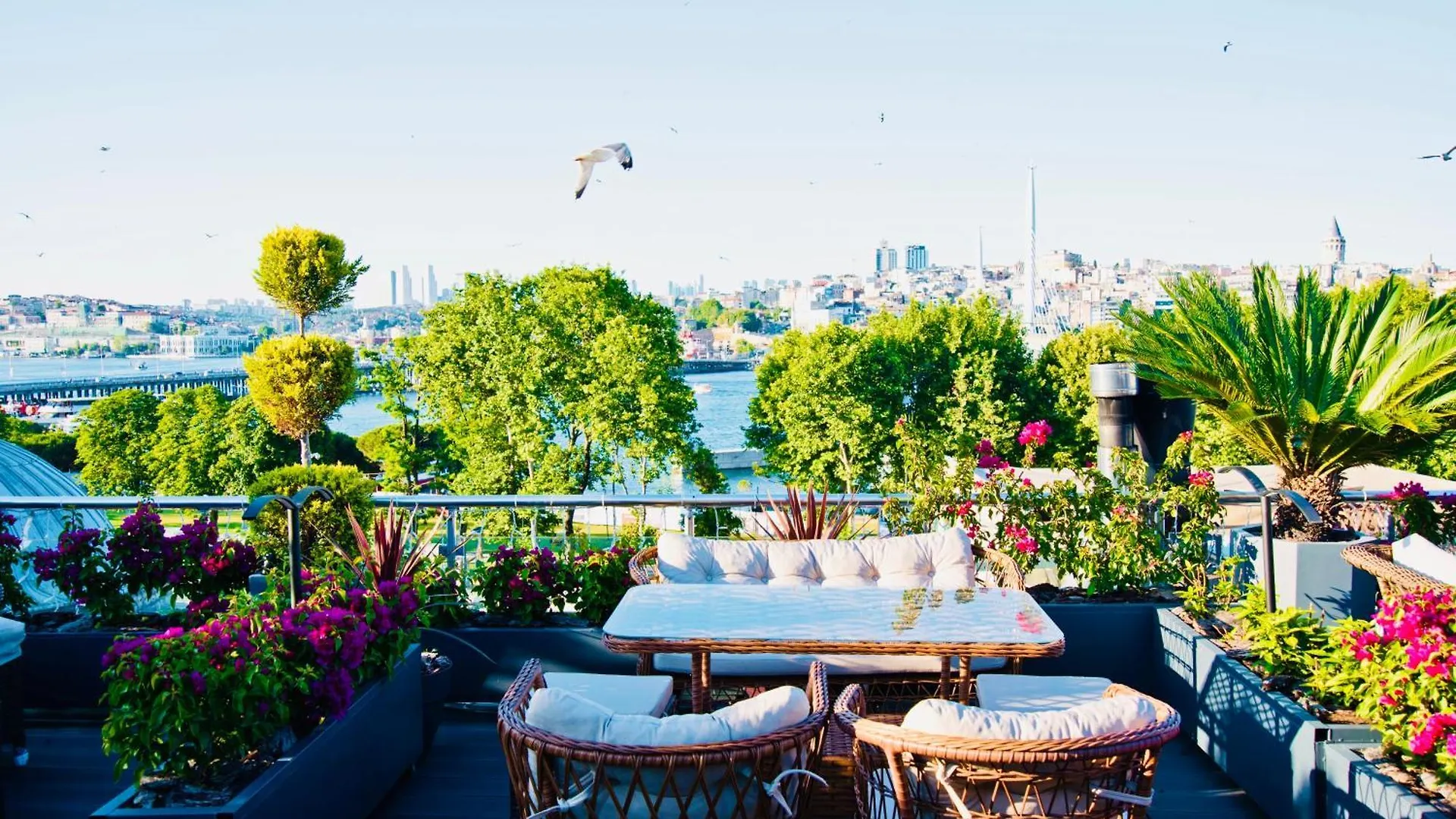 Gzh Park Bosphorus Bed and Breakfast Istanboel